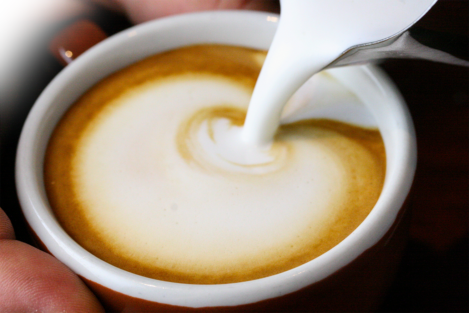 How to Make Cappuccino Foam: 13 Steps (with Pictures) - wikiHow
